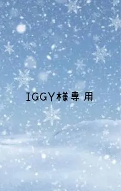 犬服ハンドメイド☆IGGY様専用☆