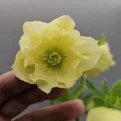 りんご★様 リクエスト 3点 まとめ商品