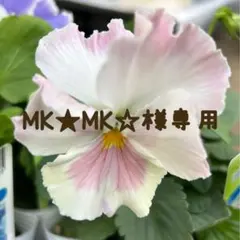 REPLAY レザージャケット シングルライダース 黒　お値下げ‼️のサムネイル