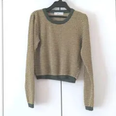 ZARA 薄手のボーダーニット