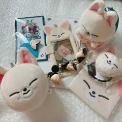 straykids スキズ SKZOO フォクシニー 11点 まとめ売り - メルカリ