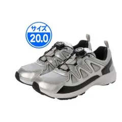 Item thumbnail for item 8c822aa4-91ad-41d7-8a02-c7e450c35a88