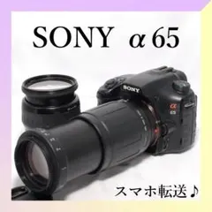 ✨SONY α57✨ダブルズーム✨高速AF✨超望遠✨動画撮影OK✨ - メルカリ
