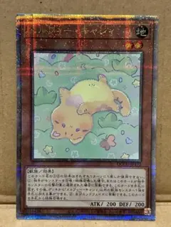 遊戯王　メルフィー・キャシィ　25th