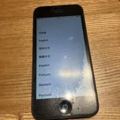 Item thumbnail for item b188939b-dc6a-4832-b727-b28000195138