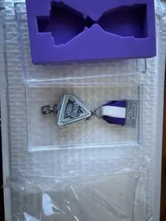 Item thumbnail for item 1a00cd96-6e30-4c39-b6e8-76ed7d0473a5