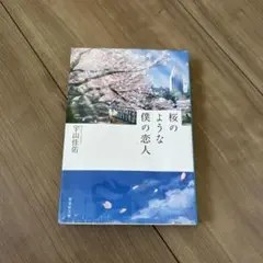 桜のような僕の恋人 宇山佳祐　値下げ可