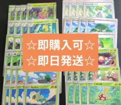 ポケモンカード　メガニウム進化ラインセット