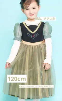新品⭐︎FROZEN ディズニー半袖ドレス　アナ