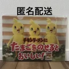 日清 チキンラーメン クリアファイル timelesz ひよこ組