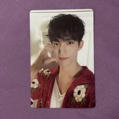 seventeenth heaven ドギョム　トレカ