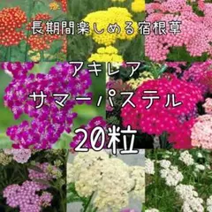 etsu様 リクエスト 2点 まとめ商品