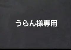 うらん様 リクエスト 2点 まとめ商品