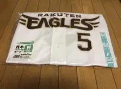 Item thumbnail for item 8df4f3a2-b29c-4912-825c-21fc57f58d4f