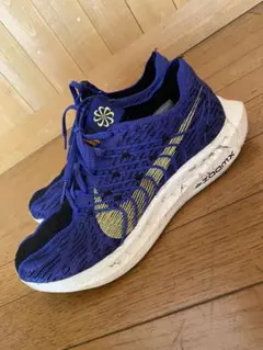 NIKEペガサスターボ　26.0cm