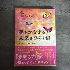 Item thumbnail for item 91a91a0a-b5f1-4c20-acb3-acead378e7e9