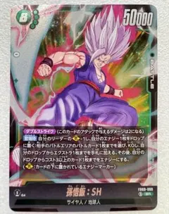 ドラゴンボールカード 孫悟飯：SH SR