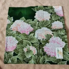 Item thumbnail for item 5dd007a9-22b7-4244-ac95-7ac9788b94e1