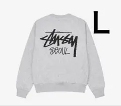 2026年最新】stussy seoul パーカーの人気アイテム - メルカリ