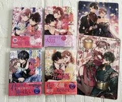 【初版・帯・特典付き】影の英雄の治癒係　1～４巻　全巻セット　亜子