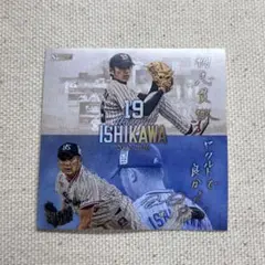 東京ヤクルトスワローズ　石川雅規 引退記念　ステッカー
