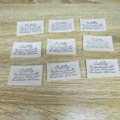 Item thumbnail for item 988c352a-dbef-4046-b361-3252553d3148