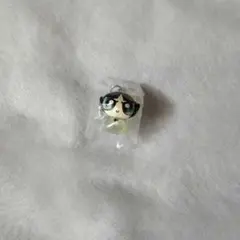 パワーパフガールズ めじるしアクセサリー バターカップ