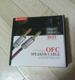 Item thumbnail for item 3bae0ed4-cf6c-4859-8def-9f06b7db2ee0