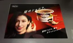ハーゲンダッツ　ガナッシュショコラ　販促　非売品POP TWICE サナ
