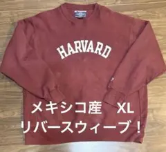 Champion reverse weave HARVARD XL バーガンディ