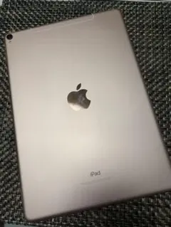 iPad Pro 10.5 256G ローズゴールドwifi +cellular
