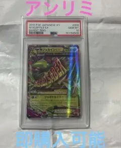 【psa10】mジュカインex rr 008/081 アンリミ　ポケモンカード MジュカインEX【RR】{008/081}