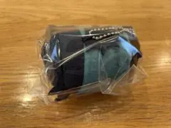 鬼滅の刃 冨岡義勇 明治村 もちころりん