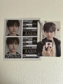 ALD1 アンシン FREAK ALARM 封入 トレカ ID