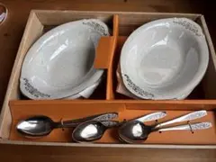 昭和レトロ　未使用　オーロラ　金縁　カレー皿５枚　スプーン５本　食器セットのサムネイル