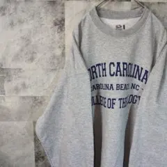 フルーツオブザルームスウェットトレーナーグレービッグオーバーサイズXL　C4,9