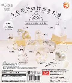 うちの子のけだまだま ノーマル 茶トラ サビ猫