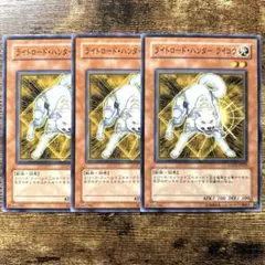 2026年最新】ライトロードハンターライコウ 英語の人気アイテム - メルカリ