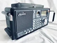 新品 TECSUN 徳生 S-2000 ダブルボックス