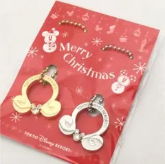 レア ディズニー限定 キーチェーン ペア 新品