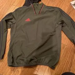 Item thumbnail for item 347b6101-d2f1-44d8-b010-579ec496f2c2