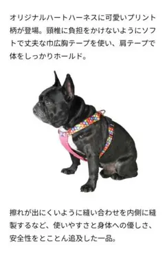 美品】BOONDOG ハーネス& リードセット - メルカリ