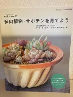 sol x sol の多肉植物・サボテンを育てよう