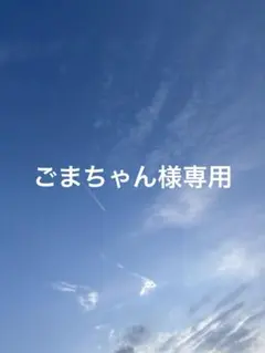 ごまちゃん様専用