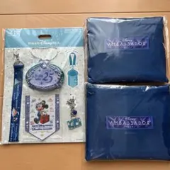 東京ディズニーシー 25周年 バケーションパッケージ　ジュビリーバッジセットのサムネイル