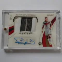Panini Immaculate シュヴァインシュタイガー Auto /25