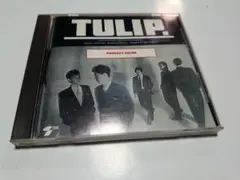 チューリップ　プライメリー・カラー　CD