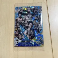 2025年最新】RiZIN ウエハース 朝倉未来 平本蓮の人気アイテム