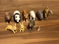 アニア 動物 フィギュア セット