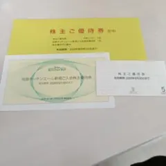 【優待券5枚】H2O エイチツーオー リテイリング 株主優待券のサムネイル